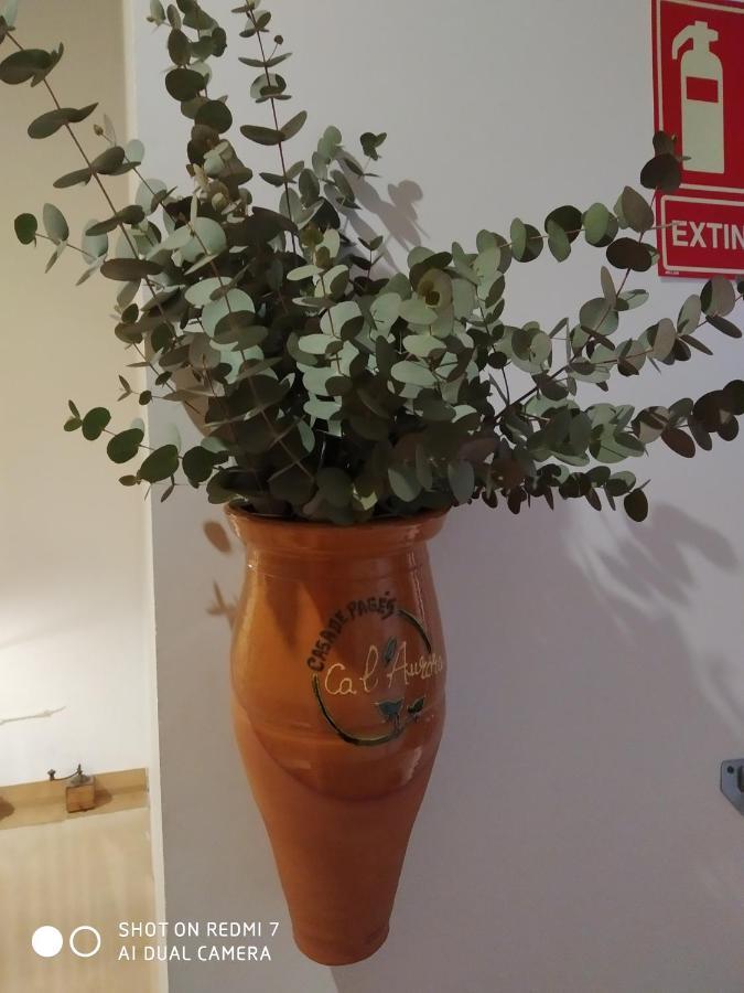Ca L'Aurora Apartman Bot Kültér fotó
